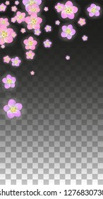 Vector Realistic Pink Flowers Falling on Transparent Background.  Spring Romantic Flowers Illustration. Flying Petals. Sakura Spa Design.  Blossom Confetti. Design Elements for  8 March Card.