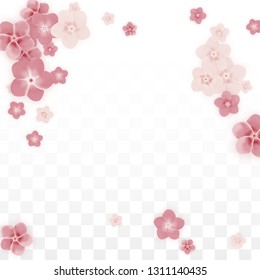 Vector Realistic Pink Flowers Falling on Transparent Background.  Spring Romantic Flowers Illustration. Flying Petals. Sakura Spa Design. Blossom Confetti. Design Elements for  8 March Card.