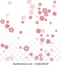 Vector Realistic Pink Flowers Falling on Transparent Background.  Spring Romantic Flowers Illustration. Flying Petals. Sakura Spa Design. Blossom Confetti. Design Elements for  St. Valentine Day.