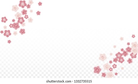Vector Realistic Pink Flowers Falling on Transparent Background.  Spring Romantic Flowers Illustration. Flying Petals. Sakura Spa Design. Blossom Confetti. Design Elements for  St. Valentine Day.