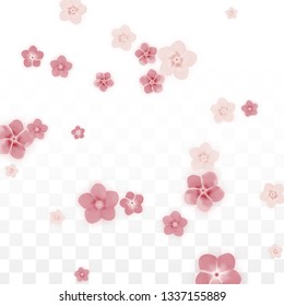 Vector Realistic Pink Flowers Falling on Transparent Background.  Spring Romantic Flowers Illustration. Flying Petals. Sakura Spa Design. Blossom Confetti. Design Elements for  Wedding Decoration.
