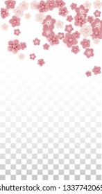 Vector Realistic Pink Flowers Falling on Transparent Background.  Spring Romantic Flowers Illustration. Flying Petals. Sakura Spa Design. Blossom Confetti. Design Elements for  St. Valentine Day.