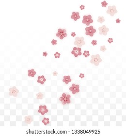 Vector Realistic Pink Flowers Falling on Transparent Background.  Spring Romantic Flowers Illustration. Flying Petals. Sakura Spa Design. Blossom Confetti. Design Elements for  8 March Card.