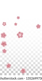 Vector Realistic Pink Flowers Falling on Transparent Background.  Spring Romantic Flowers Illustration. Flying Petals. Sakura Spa Design. Blossom Confetti. Design Elements for  Wedding Decoration.