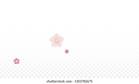 Vector Realistic Pink Flowers Falling on Transparent Background.  Spring Romantic Flowers Illustration. Flying Petals. Sakura Spa Design. Blossom Confetti. Design Elements for  Mother's Day.