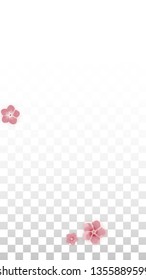 Vector Realistic Pink Flowers Falling on Transparent Background.  Spring Romantic Flowers Illustration. Flying Petals. Sakura Spa Design. Blossom Confetti. Design Elements for  8 March Card.