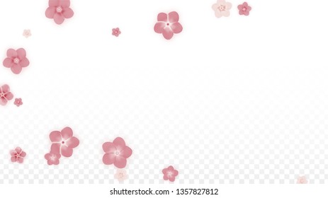 Vector Realistic Pink Flowers Falling on Transparent Background.  Spring Romantic Flowers Illustration. Flying Petals. Sakura Spa Design. Blossom Confetti. Design Elements for  St. Valentine Day.