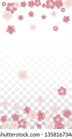 Vector Realistic Pink Flowers Falling on Transparent Background.  Spring Romantic Flowers Illustration. Flying Petals. Sakura Spa Design. Blossom Confetti. Design Elements for  Wedding Decoration.