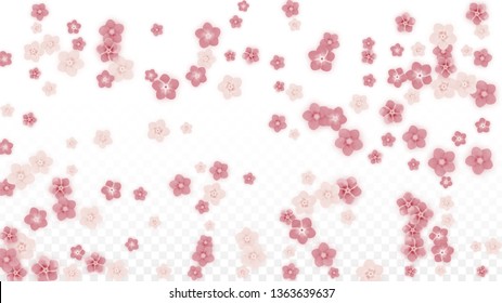 Vector Realistic Pink Flowers Falling on Transparent Background.  Spring Romantic Flowers Illustration. Flying Petals. Sakura Spa Design. Blossom Confetti. Design Elements for  Poster Design. 