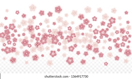 Vector Realistic Pink Flowers Falling on Transparent Background.  Spring Romantic Flowers Illustration. Flying Petals. Sakura Spa Design. Blossom Confetti. Design Elements for  Mother's Day.