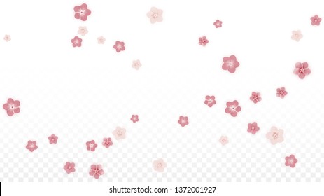 Vector Realistic Pink Flowers Falling on Transparent Background.  Spring Romantic Flowers Illustration. Flying Petals. Sakura Spa Design. Blossom Confetti. Design Elements for  8 March Card.