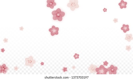Vector Realistic Pink Flowers Falling on Transparent Background.  Spring Romantic Flowers Illustration. Flying Petals. Sakura Spa Design. Blossom Confetti. Design Elements for  Wedding Decoration.