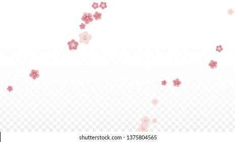 Vector Realistic Pink Flowers Falling on Transparent Background.  Spring Romantic Flowers Illustration. Flying Petals. Sakura Spa Design. Blossom Confetti. Design Elements for  Mother's Day.