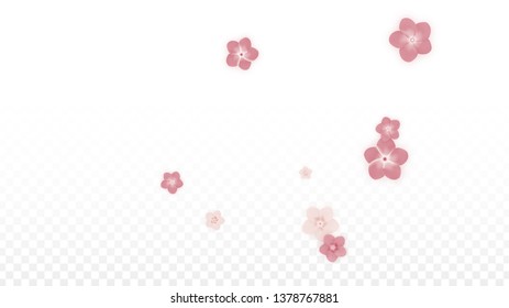 Vector Realistic Pink Flowers Falling on Transparent Background.  Spring Romantic Flowers Illustration. Flying Petals. Sakura Spa Design. Blossom Confetti. Design Elements for  St. Valentine Day.