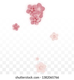 Vector Realistic Pink Flowers Falling on Transparent Background.  Spring Romantic Flowers Illustration. Flying Petals. Sakura Spa Design. Blossom Confetti. Design Elements for  St. Valentine Day.