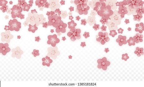 Vector Realistic Pink Flowers Falling on Transparent Background.  Spring Romantic Flowers Illustration. Flying Petals. Sakura Spa Design. Blossom Confetti. Design Elements for  Poster Design. 