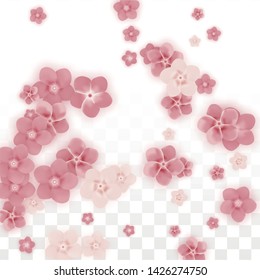 Vector Realistic Pink Flowers Falling on Transparent Background.  Spring Romantic Flowers Illustration. Flying Petals. Sakura Spa Design. Blossom Confetti. Design Elements for  Mother's Day.