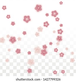 Vector Realistic Pink Flowers Falling on Transparent Background.  Spring Romantic Flowers Illustration. Flying Petals. Sakura Spa Design. Blossom Confetti. Design Elements for  8 March Card.
