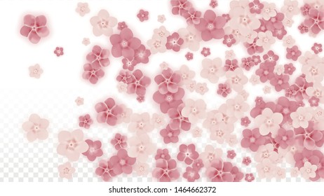 Vector Realistic Pink Flowers Falling on Transparent Background.  Spring Romantic Flowers Illustration. Flying Petals. Sakura Spa Design. Blossom Confetti. Design Elements for  Mother's Day.