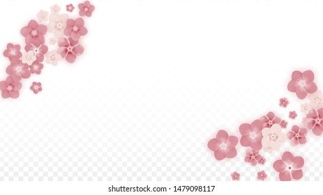 Vector Realistic Pink Flowers Falling on Transparent Background.  Spring Romantic Flowers Illustration. Flying Petals. Sakura Spa Design. Blossom Confetti. Design Elements for  8 March Card.