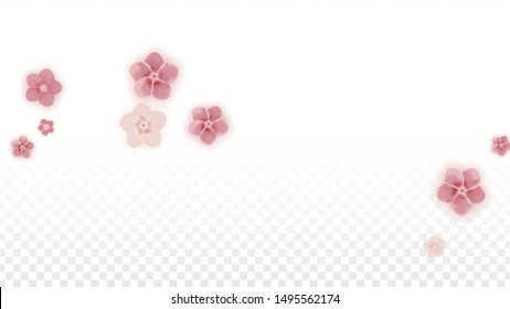 Vector Realistic Pink Flowers Falling on Transparent Background.  Spring Romantic Flowers Illustration. Flying Petals. Sakura Spa Design. Blossom Confetti. Design Elements for  8 March Card.