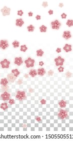 Vector Realistic Pink Flowers Falling on Transparent Background.  Spring Romantic Flowers Illustration. Flying Petals. Sakura Spa Design. Blossom Confetti. Design Elements for  St. Valentine Day.