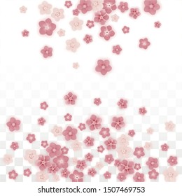 Vector Realistic Pink Flowers Falling on Transparent Background.  Spring Romantic Flowers Illustration. Flying Petals. Sakura Spa Design. Blossom Confetti. Design Elements for  Mother's Day.