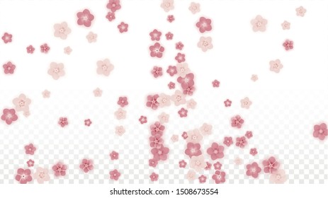 Vector Realistic Pink Flowers Falling on Transparent Background.  Spring Romantic Flowers Illustration. Flying Petals. Sakura Spa Design. Blossom Confetti. Design Elements for  St. Valentine Day.