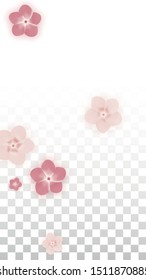 Vector Realistic Pink Flowers Falling on Transparent Background.  Spring Romantic Flowers Illustration. Flying Petals. Sakura Spa Design. Blossom Confetti. Design Elements for  Poster Design. 