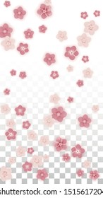 Vector Realistic Pink Flowers Falling on Transparent Background.  Spring Romantic Flowers Illustration. Flying Petals. Sakura Spa Design. Blossom Confetti. Design Elements for  Mother's Day.