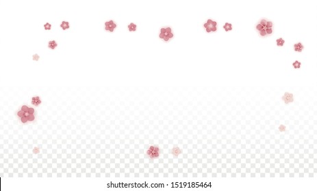 Vector Realistic Pink Flowers Falling on Transparent Background.  Spring Romantic Flowers Illustration. Flying Petals. Sakura Spa Design. Blossom Confetti. Design Elements for  Poster Design. 