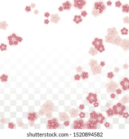 Vector Realistic Pink Flowers Falling on Transparent Background.  Spring Romantic Flowers Illustration. Flying Petals. Sakura Spa Design. Blossom Confetti. Design Elements for  Poster Design. 