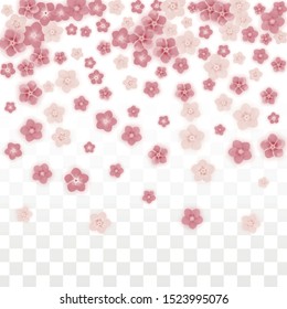 Vector Realistic Pink Flowers Falling on Transparent Background.  Spring Romantic Flowers Illustration. Flying Petals. Sakura Spa Design. Blossom Confetti. Design Elements for  8 March Card.