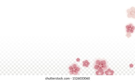 Vector Realistic Pink Flowers Falling on Transparent Background.  Spring Romantic Flowers Illustration. Flying Petals. Sakura Spa Design. Blossom Confetti. Design Elements for  Wedding Decoration.