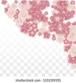 Vector Realistic Pink Flowers Falling on Transparent Background.  Spring Romantic Flowers Illustration. Flying Petals. Sakura Spa Design. Blossom Confetti. Design Elements for  St. Valentine Day.