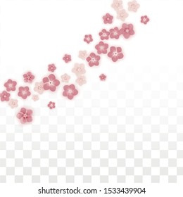 Vector Realistic Pink Flowers Falling on Transparent Background.  Spring Romantic Flowers Illustration. Flying Petals. Sakura Spa Design. Blossom Confetti. Design Elements for  Mother's Day.