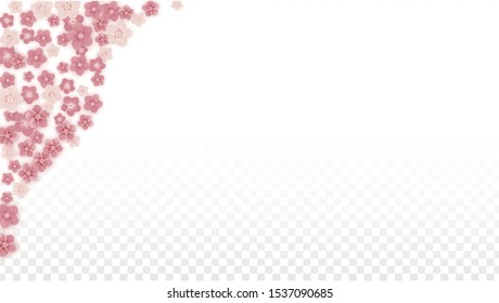 Vector Realistic Pink Flowers Falling on Transparent Background.  Spring Romantic Flowers Illustration. Flying Petals. Sakura Spa Design. Blossom Confetti. Design Elements for  Poster Design. 