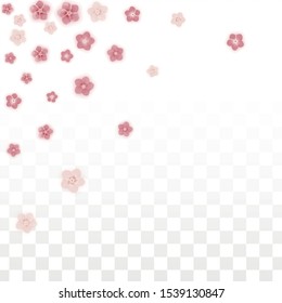 Vector Realistic Pink Flowers Falling on Transparent Background.  Spring Romantic Flowers Illustration. Flying Petals. Sakura Spa Design. Blossom Confetti. Design Elements for  Wedding Decoration.