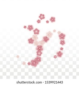 Vector Realistic Pink Flowers Falling on Transparent Background.  Spring Romantic Flowers Illustration. Flying Petals. Sakura Spa Design. Blossom Confetti. Design Elements for  Wedding Decoration.