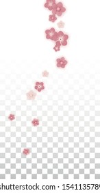Vector Realistic Pink Flowers Falling on Transparent Background.  Spring Romantic Flowers Illustration. Flying Petals. Sakura Spa Design. Blossom Confetti. Design Elements for  Poster Design. 