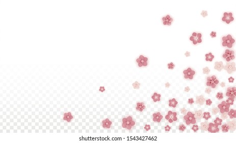 Vector Realistic Pink Flowers Falling on Transparent Background.  Spring Romantic Flowers Illustration. Flying Petals. Sakura Spa Design. Blossom Confetti. Design Elements for  Mother's Day.