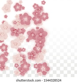 Vector Realistic Pink Flowers Falling on Transparent Background.  Spring Romantic Flowers Illustration. Flying Petals. Sakura Spa Design. Blossom Confetti. Design Elements for  Mother's Day.
