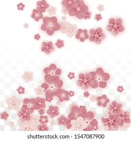 Vector Realistic Pink Flowers Falling on Transparent Background.  Spring Romantic Flowers Illustration. Flying Petals. Sakura Spa Design. Blossom Confetti. Design Elements for  Poster Design. 