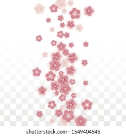 Vector Realistic Pink Flowers Falling on Transparent Background.  Spring Romantic Flowers Illustration. Flying Petals. Sakura Spa Design. Blossom Confetti. Design Elements for  Poster Design. 