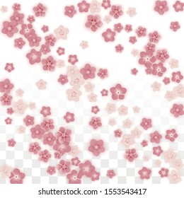 Vector Realistic Pink Flowers Falling on Transparent Background.  Spring Romantic Flowers Illustration. Flying Petals. Sakura Spa Design. Blossom Confetti. Design Elements for  8 March Card.