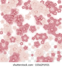 Vector Realistic Pink Flowers Falling on Transparent Background.  Spring Romantic Flowers Illustration. Flying Petals. Sakura Spa Design. Blossom Confetti. Design Elements for  Poster Design. 