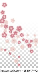 Vector Realistic Pink Flowers Falling on Transparent Background.  Spring Romantic Flowers Illustration. Flying Petals. Sakura Spa Design. Blossom Confetti. Design Elements for  8 March Card.