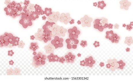 Vector Realistic Pink Flowers Falling on Transparent Background.  Spring Romantic Flowers Illustration. Flying Petals. Sakura Spa Design. Blossom Confetti. Design Elements for  St. Valentine Day.