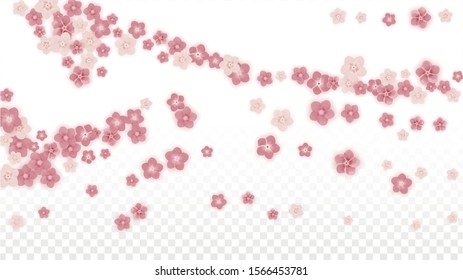 Vector Realistic Pink Flowers Falling on Transparent Background.  Spring Romantic Flowers Illustration. Flying Petals. Sakura Spa Design. Blossom Confetti. Design Elements for  Poster Design. 