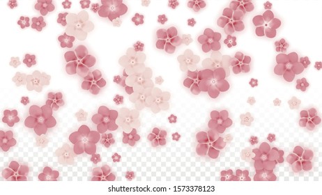 Vector Realistic Pink Flowers Falling on Transparent Background.  Spring Romantic Flowers Illustration. Flying Petals. Sakura Spa Design. Blossom Confetti. Design Elements for  Wedding Decoration.